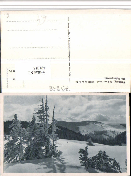 491018, Feldberg in the Black Forest Spiesshörner winter landscape