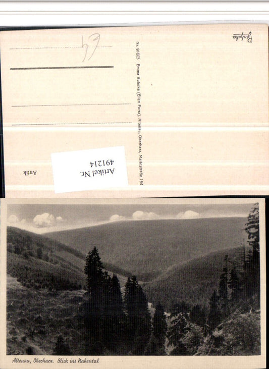 491214,Altenau im Oberharz Blick ins Nabental Wald