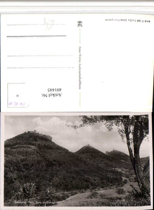 491445,Annweiler in d. Pfalz Burg Dreifaltigkeit