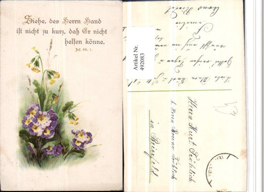 492083, Artist AK Primroses Cowslip Saying Text