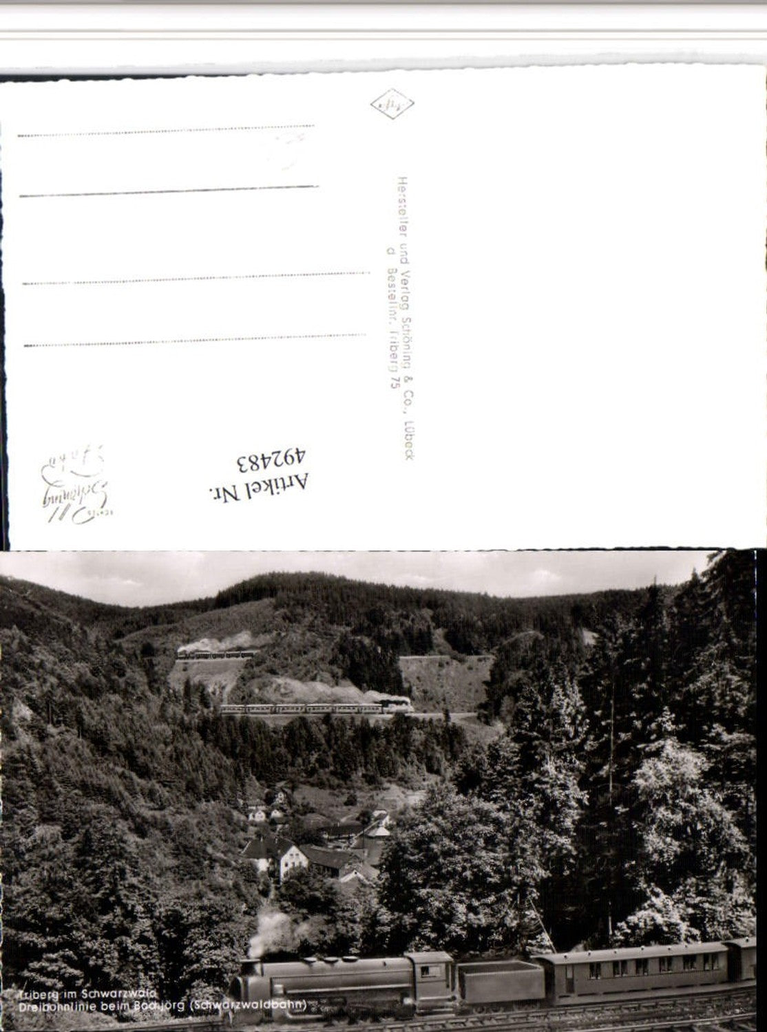 492483,Triberg im Schwarzwald Dreibahnlinie beim Bachjörg Schwarzwaldbahn