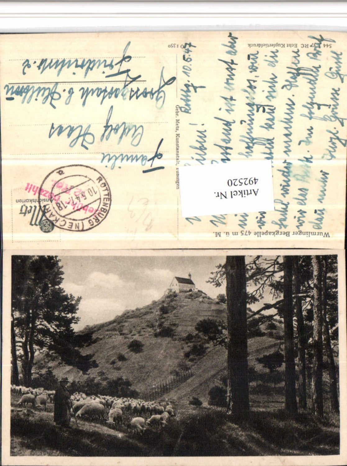 492520,Wurmlinger Bergkapelle b. Rottenburg Hirte Schäfer Schafe