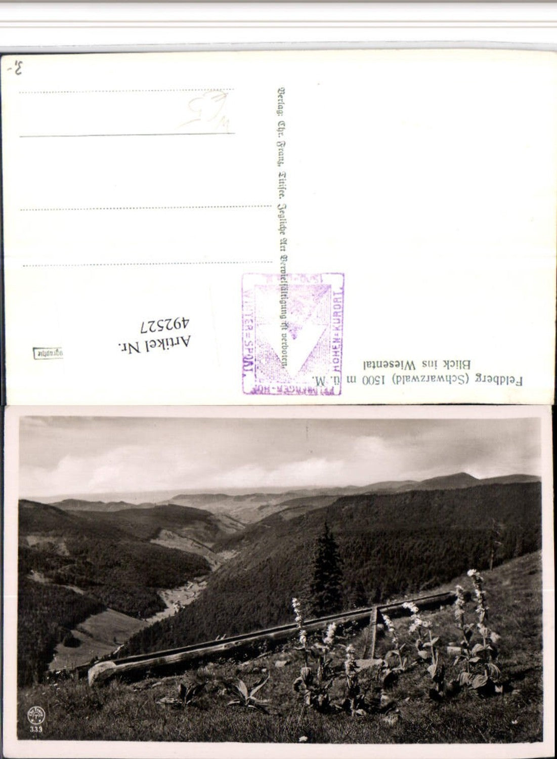 492527,Feldberg im Schwarzwald Blick ins Wiesental