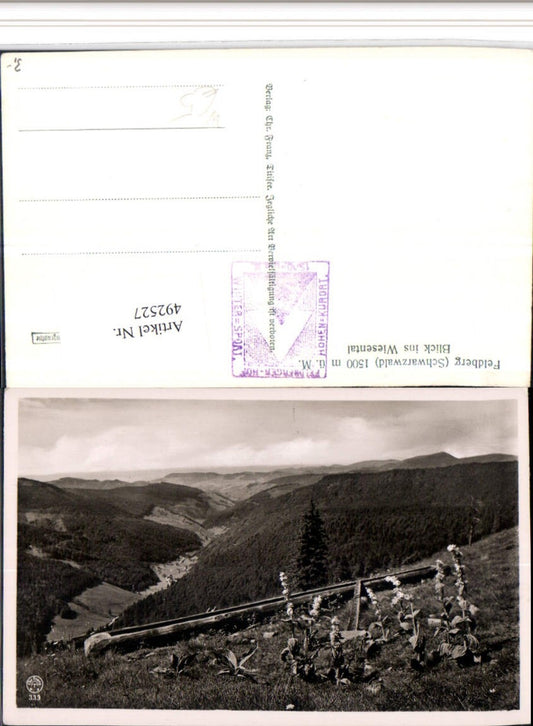492527, Feldberg in the Black Forest, view into the Wiesental valley