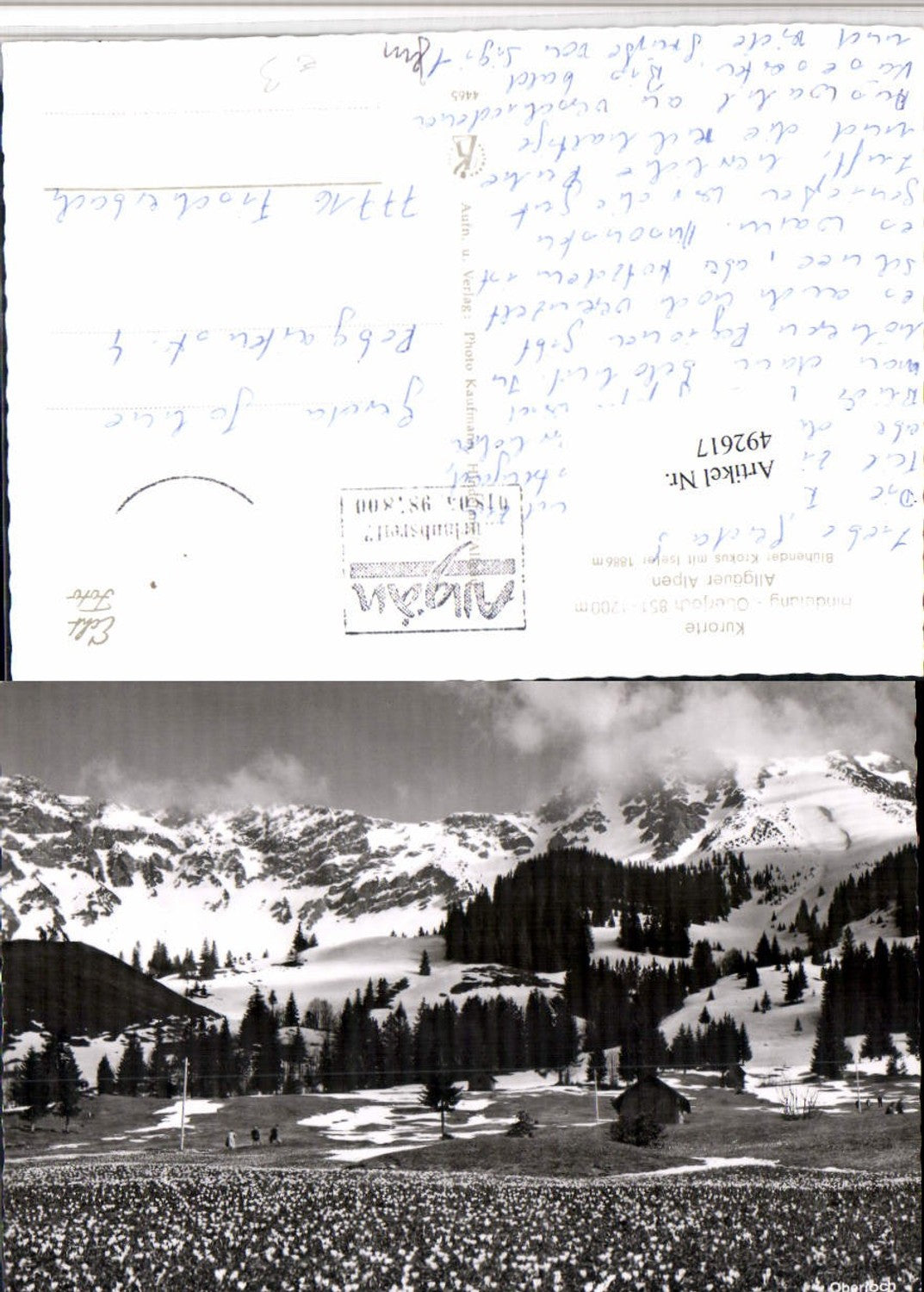 492617,Hindelang Oberjoch Bergkulisse Blumenwiese