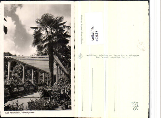 492818,Bad Pyrmont Palmengarten Laube Palme