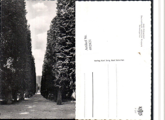 492821,Bad Pyrmont Kurpark Banbergallee Allee