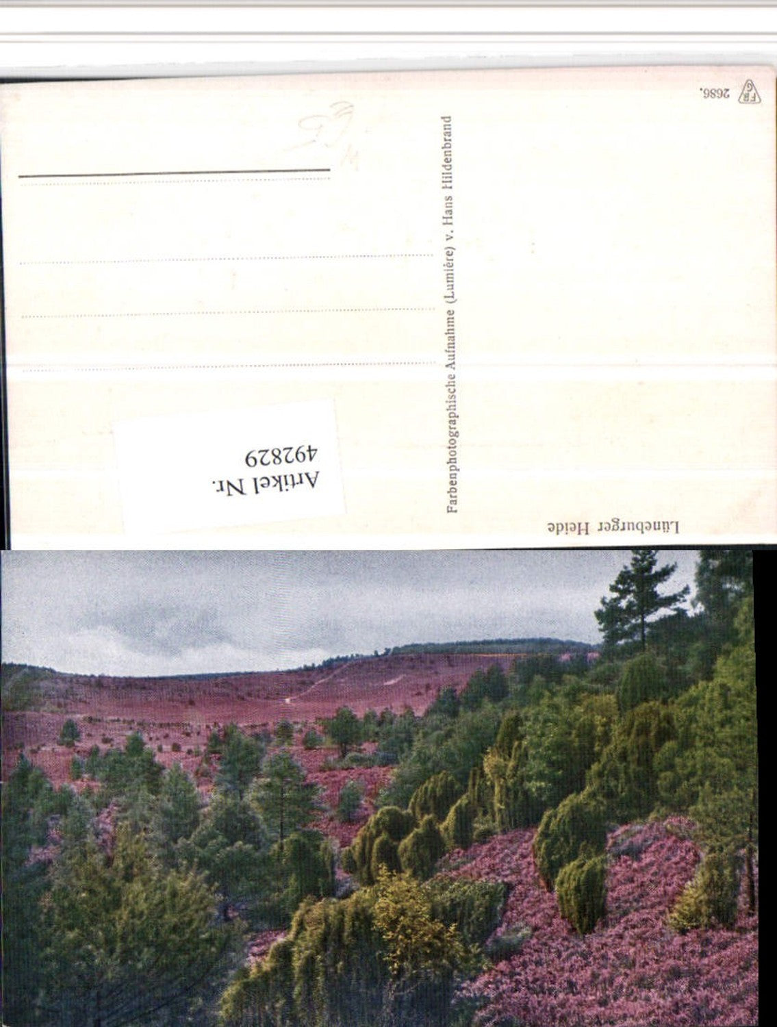 492829,Lüneburger Heide b. Schneverdingen Landschaft