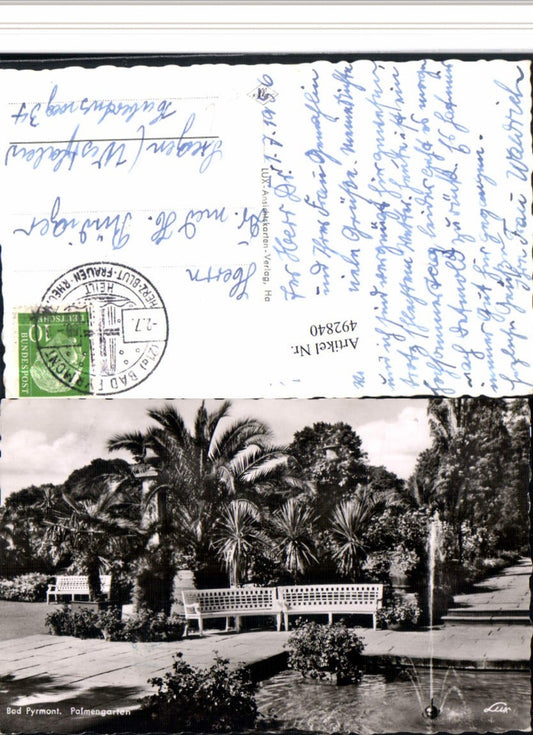 492840,Bad Pyrmont Palmengarten Palmen
