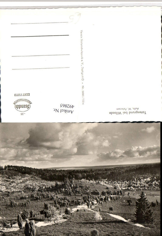 492865,Totengrund b. Wilsede Landschaft