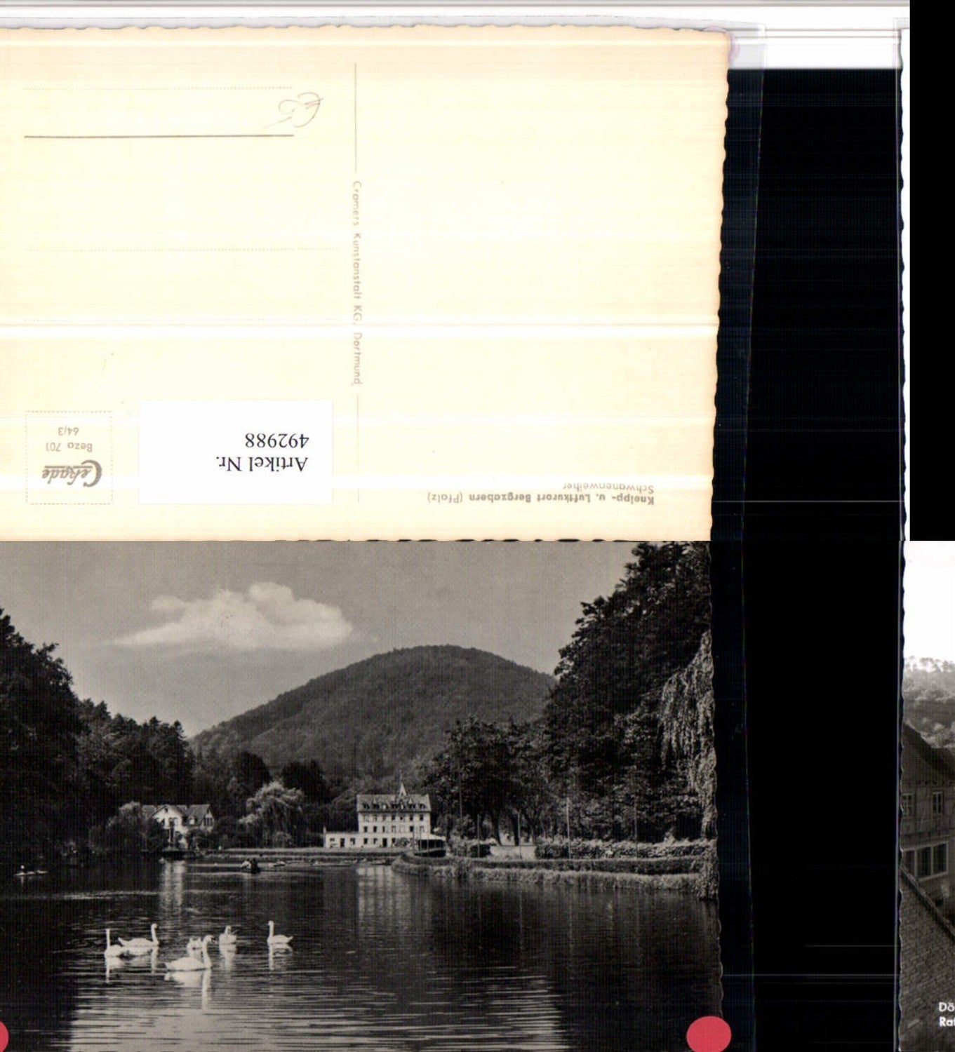 492988,Bergzabern Schwanenweiher Schwäne