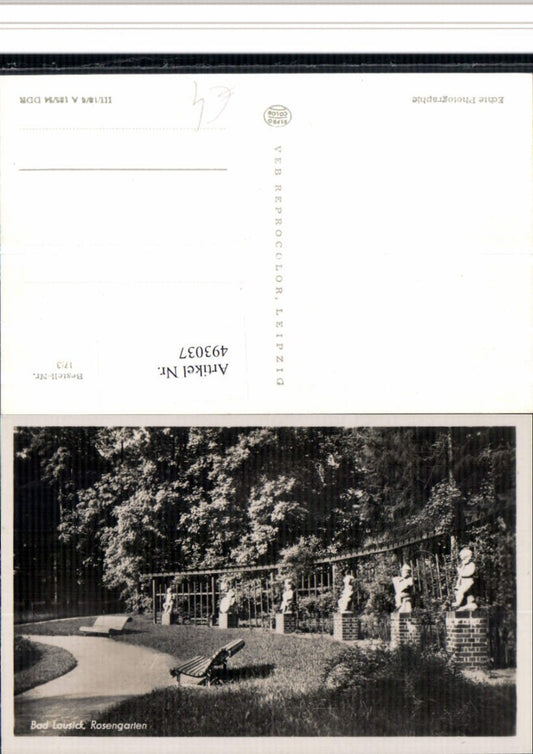 493037,Bad Lausick Rosengarten Garten
