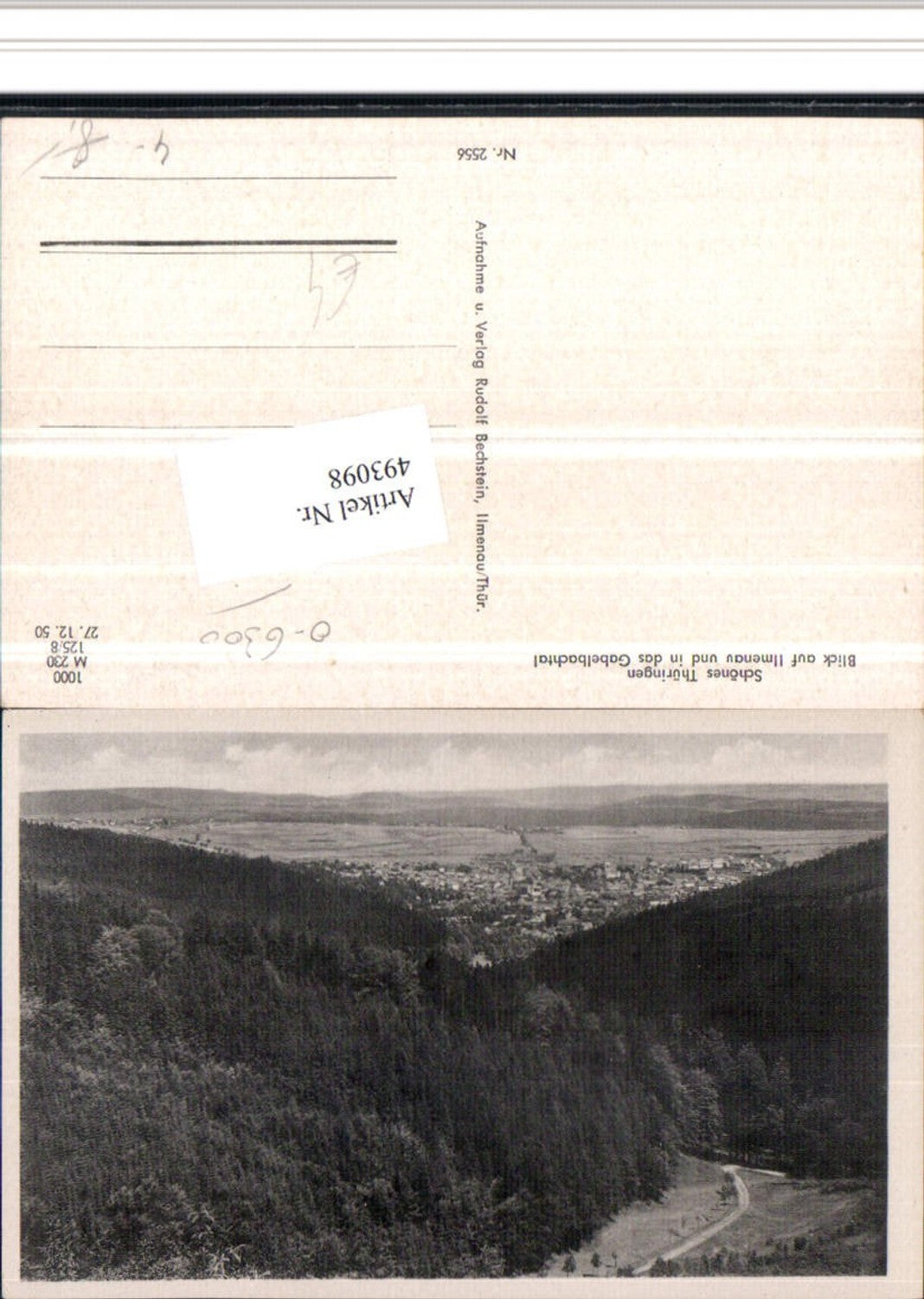 493098, View of Ilmenau and into the Gabelbach valley