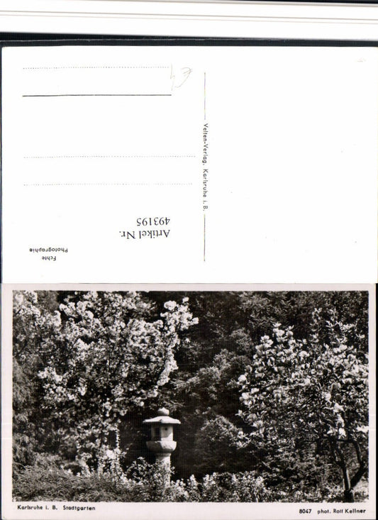 493195, Karlsruhe City Garden Blossom Tree