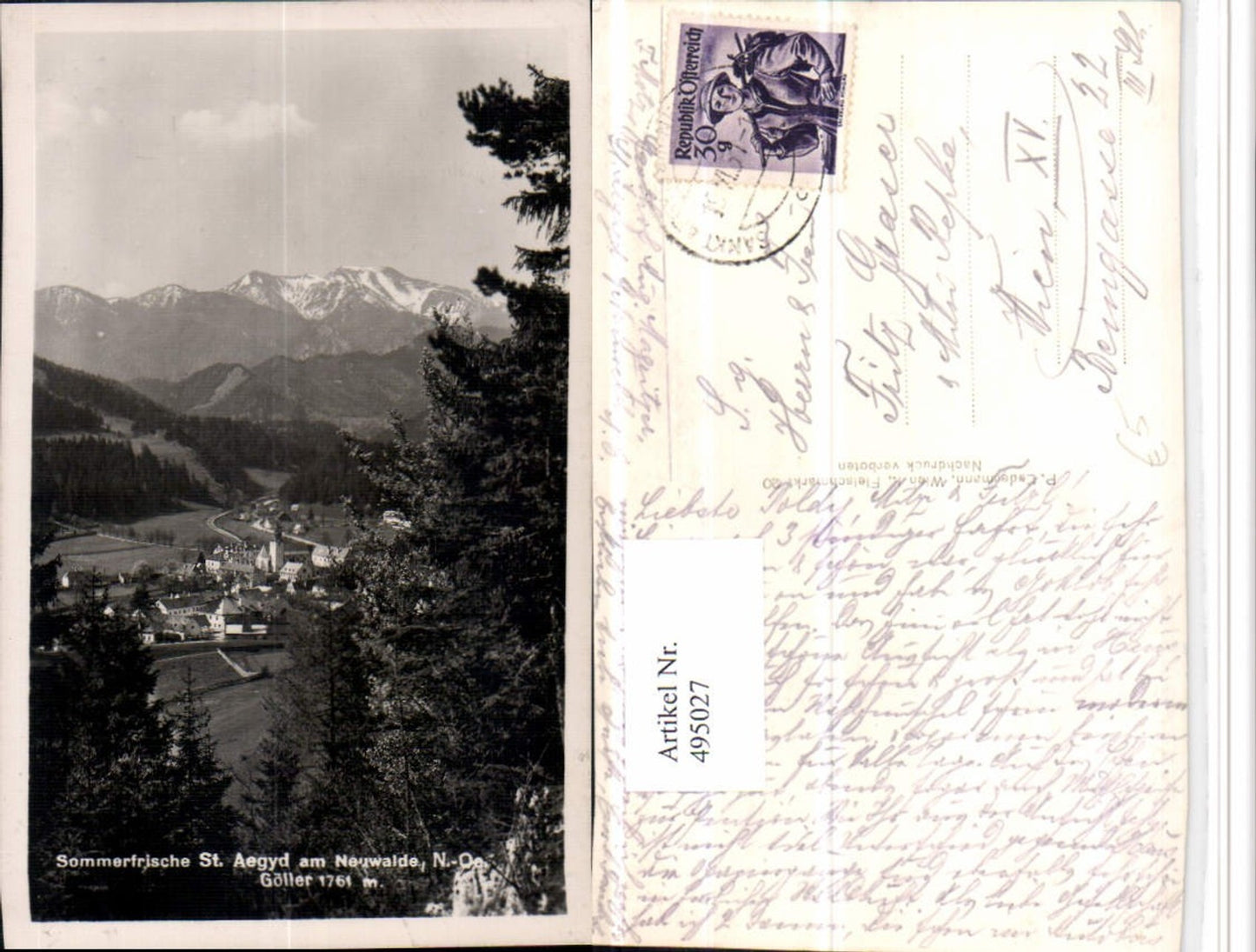 4948027,St. Aegyd am Neuwalde Totale m. Göller Bergkulisse