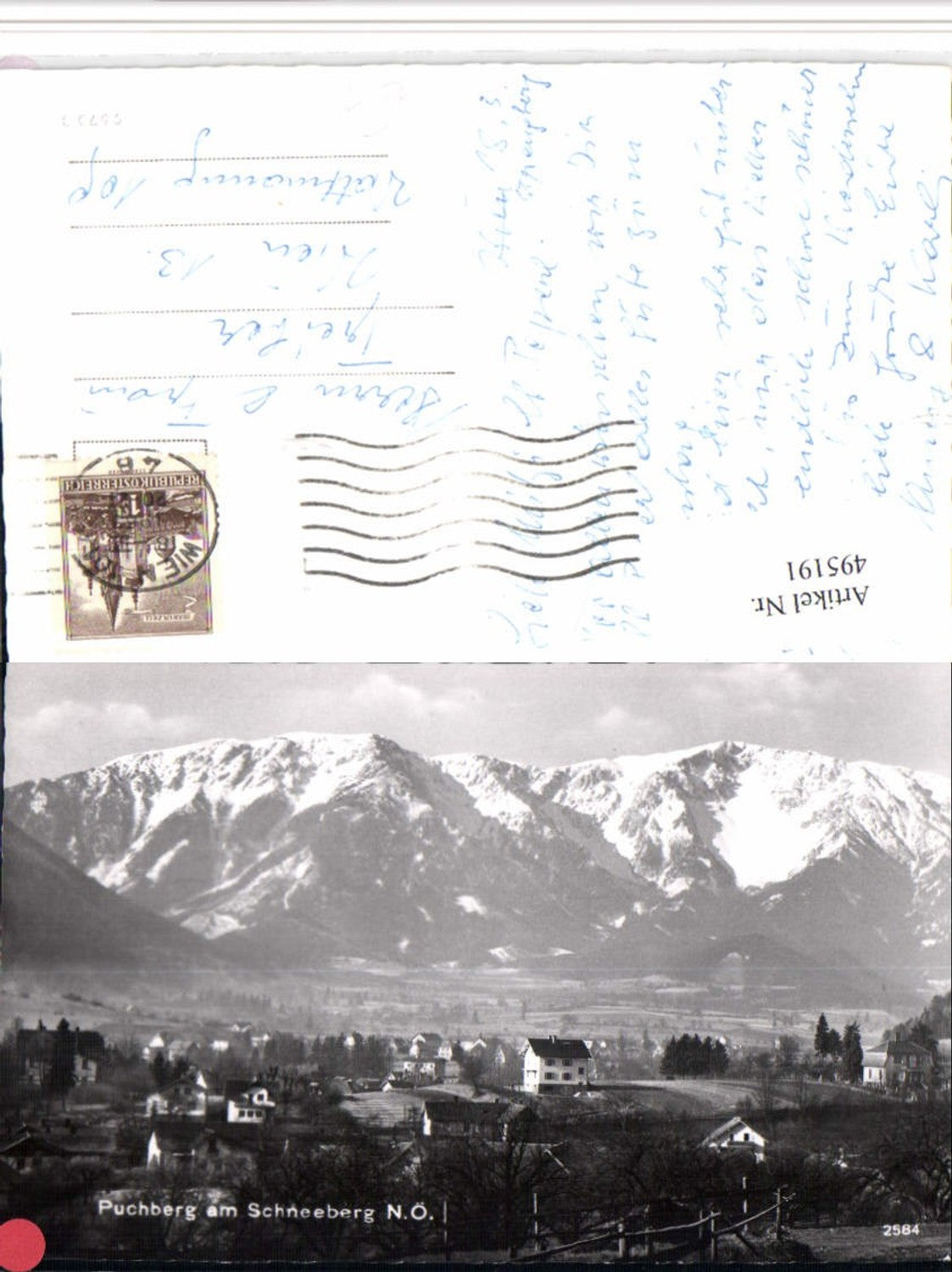 495191,Puchberg am Schneeberg Teilansicht Bergkulisse