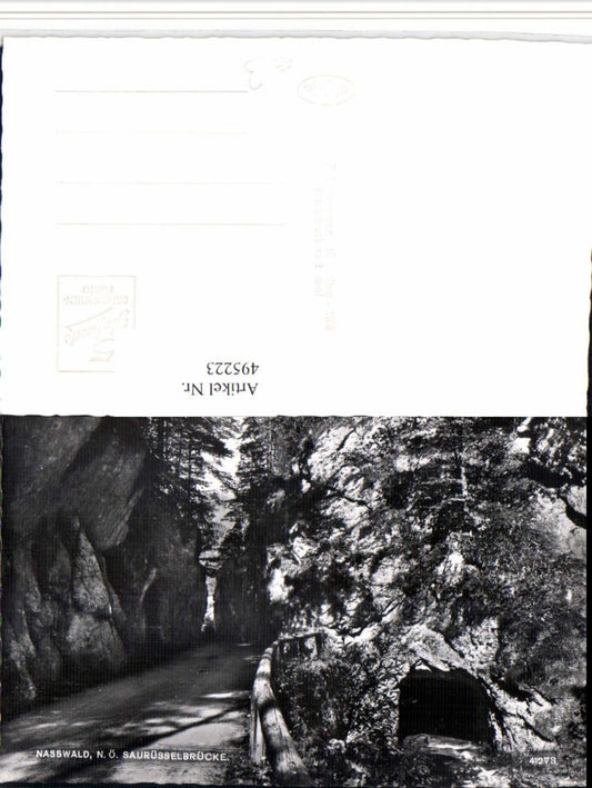 495223,Nasswald b. Schwarzau Saurüsselbrücke