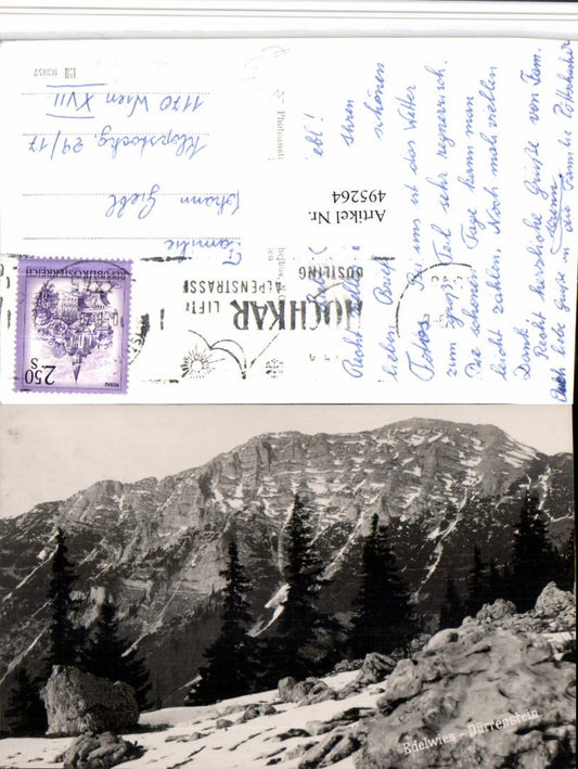 495264,Edelwies Dürrenstein b. Göstling Bergkulisse