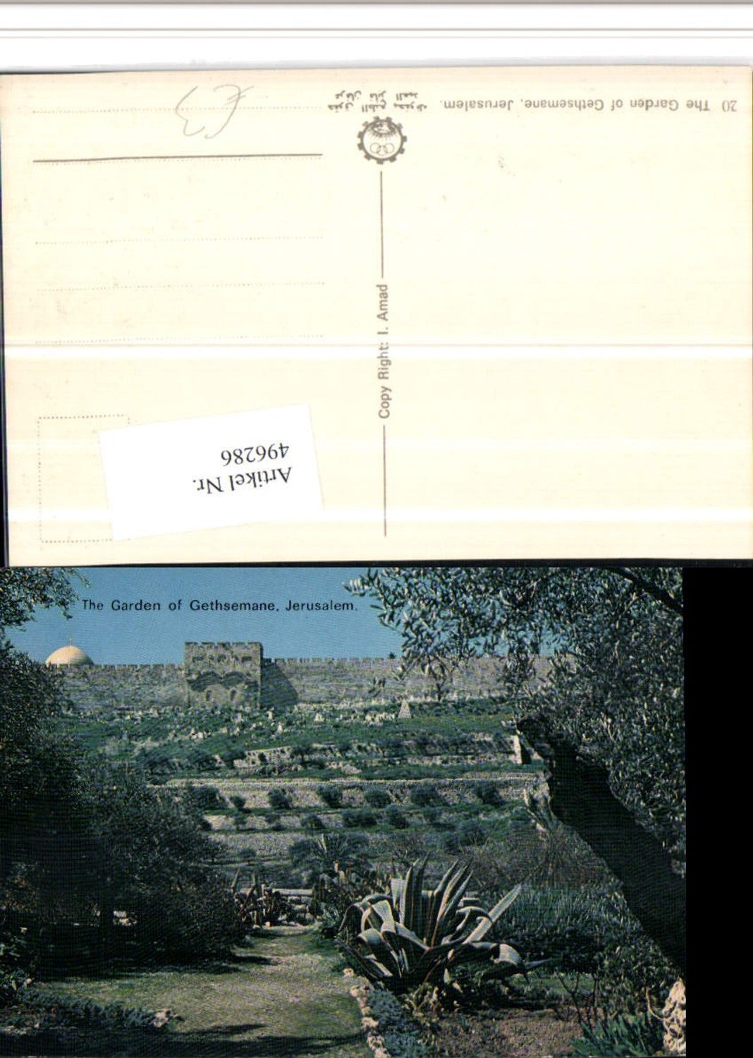 496286,Israel Jerusalem Garden of Gethsemane Garten