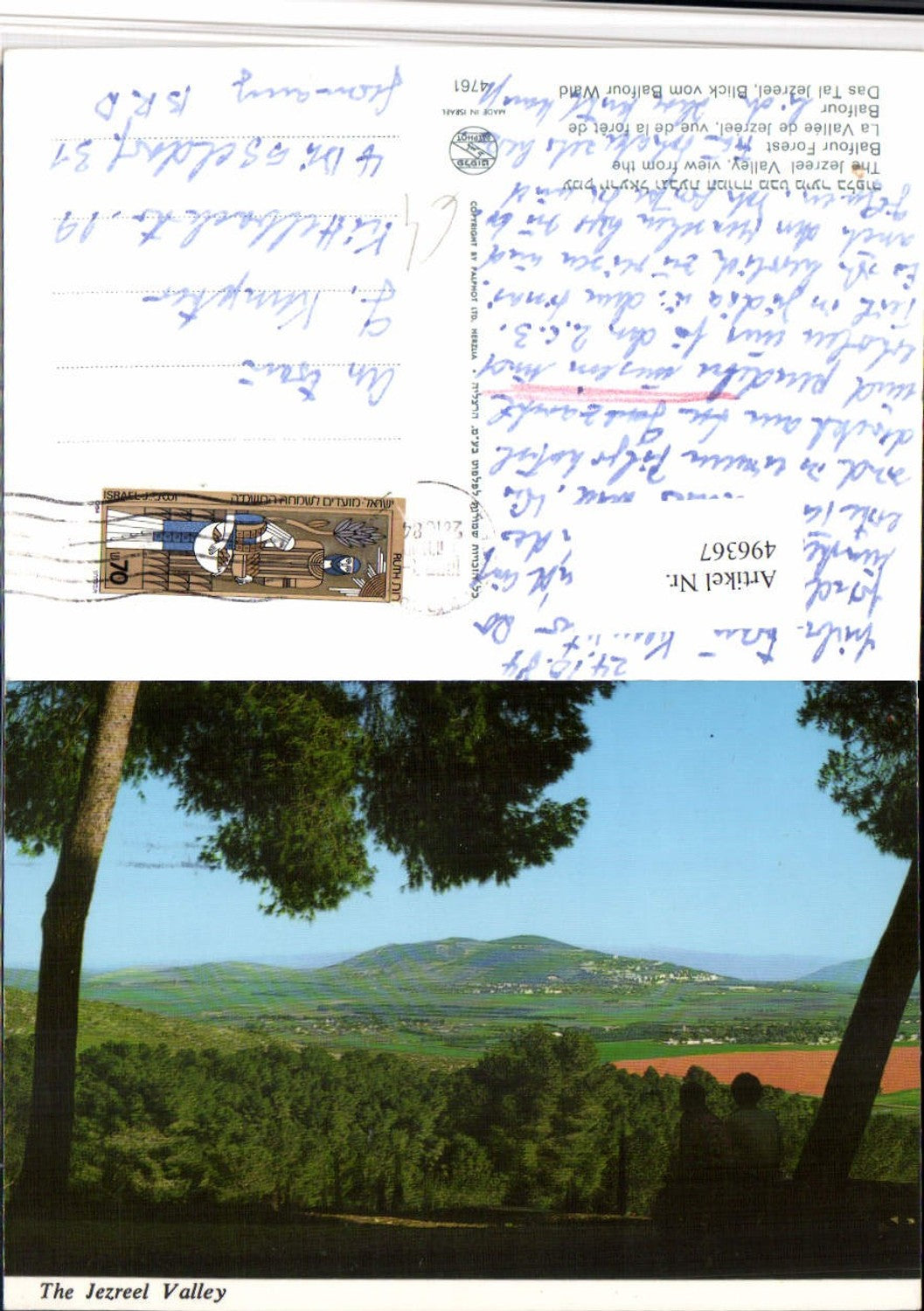 496367,Israel Jezreel Valley from the Balfour Forest Landschaft