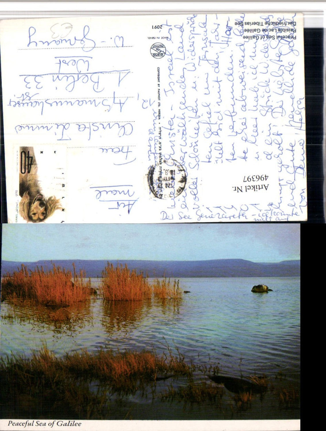 496397,Israel Sea of Galilee Tiberias See Partie