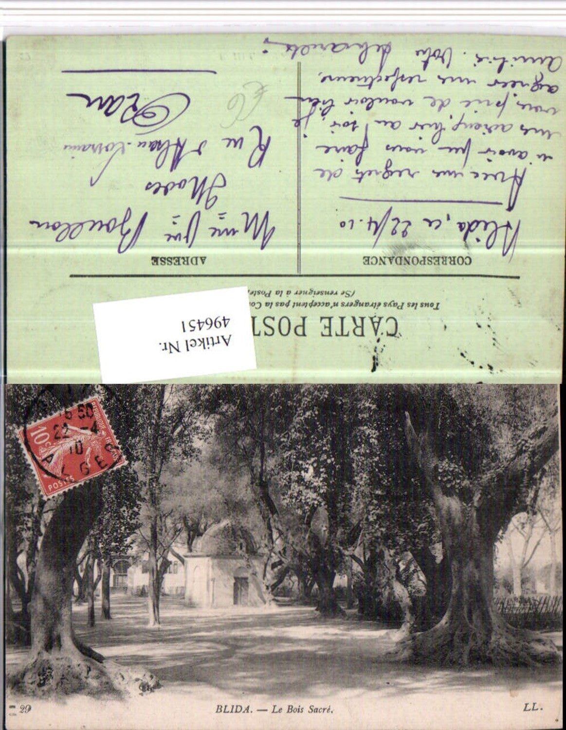 496451,Algeria Blida Le Bois Sacre Bäume