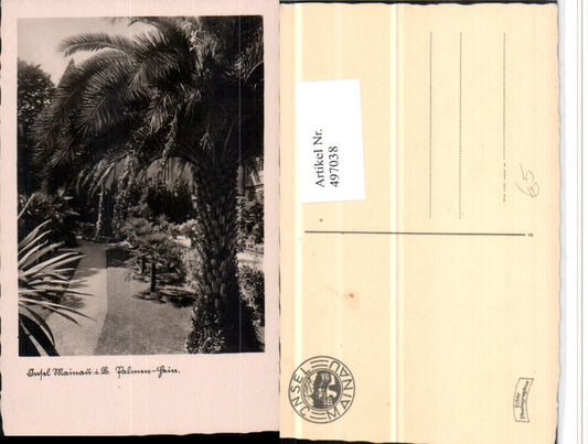 497038, Mainau Island near Constance, Palm Grove