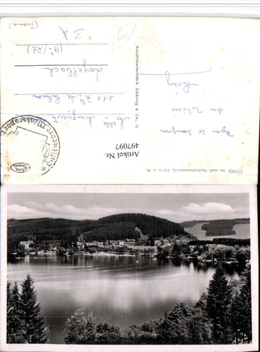 497097, Titisee in the Black Forest, partial view of the lake