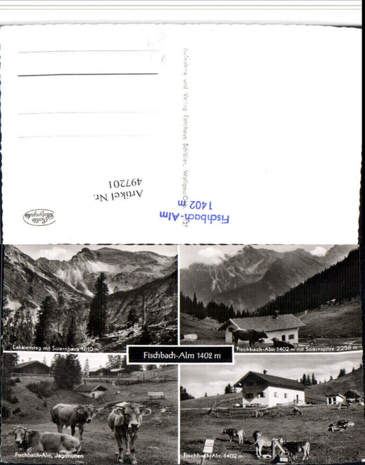 497201,Fischbach-Alm b. Krün Rinder Kühe Lakaiensteg Mehrbildkarte