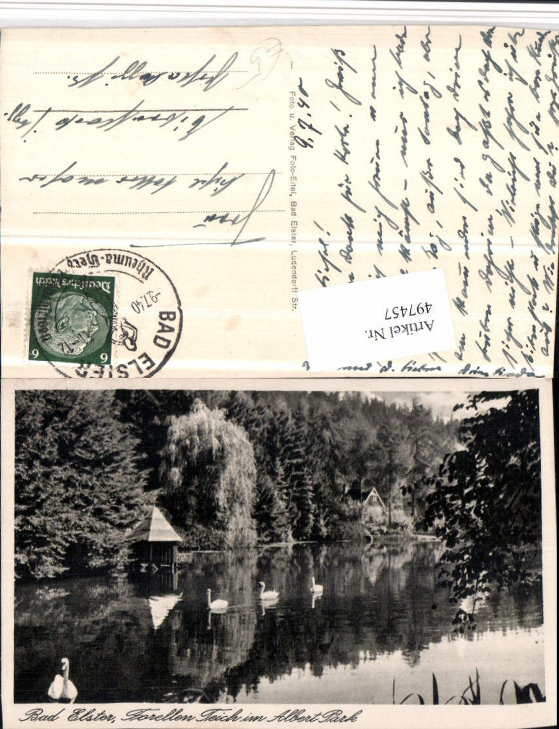 497457,Bad Elster Forellen-Teich im Albert Park Schwäne