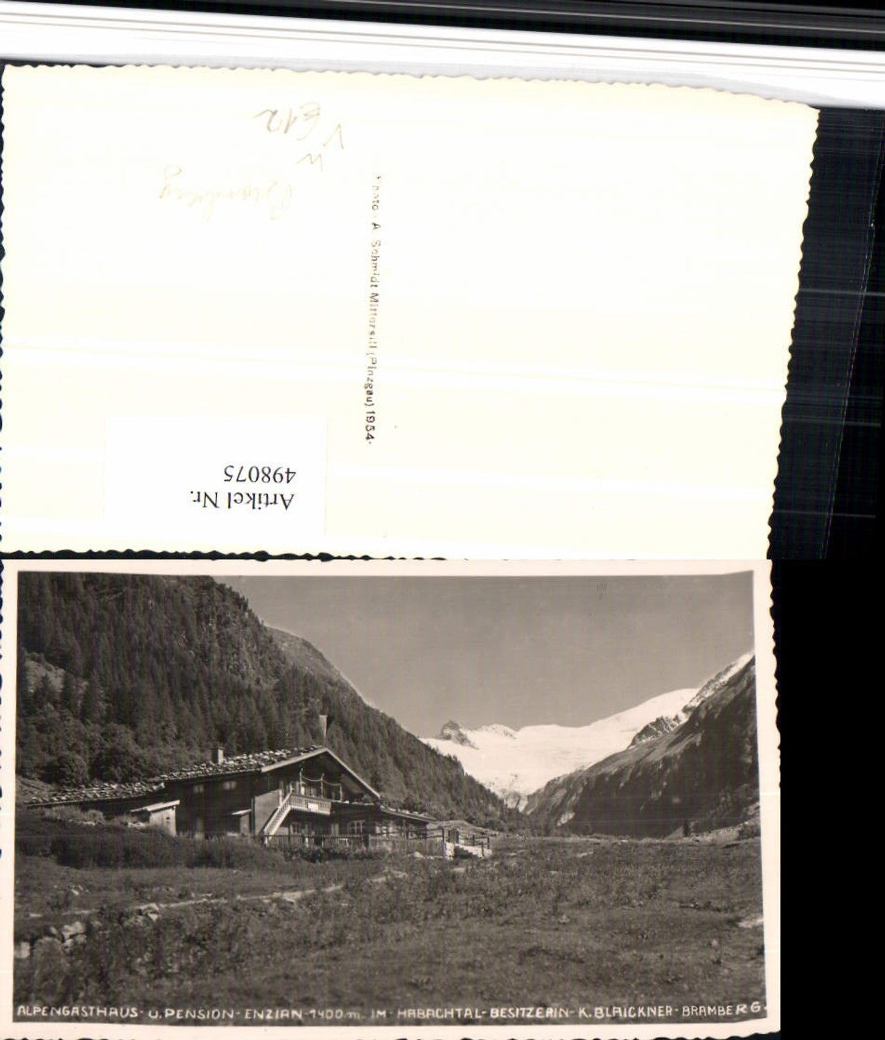 498075,Alpengasthaus Enzian im Habachtal b. Bramberg pub A. Schmidt