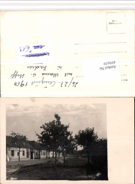 499659,Foto AK Hadres Häuser Straße Bäume