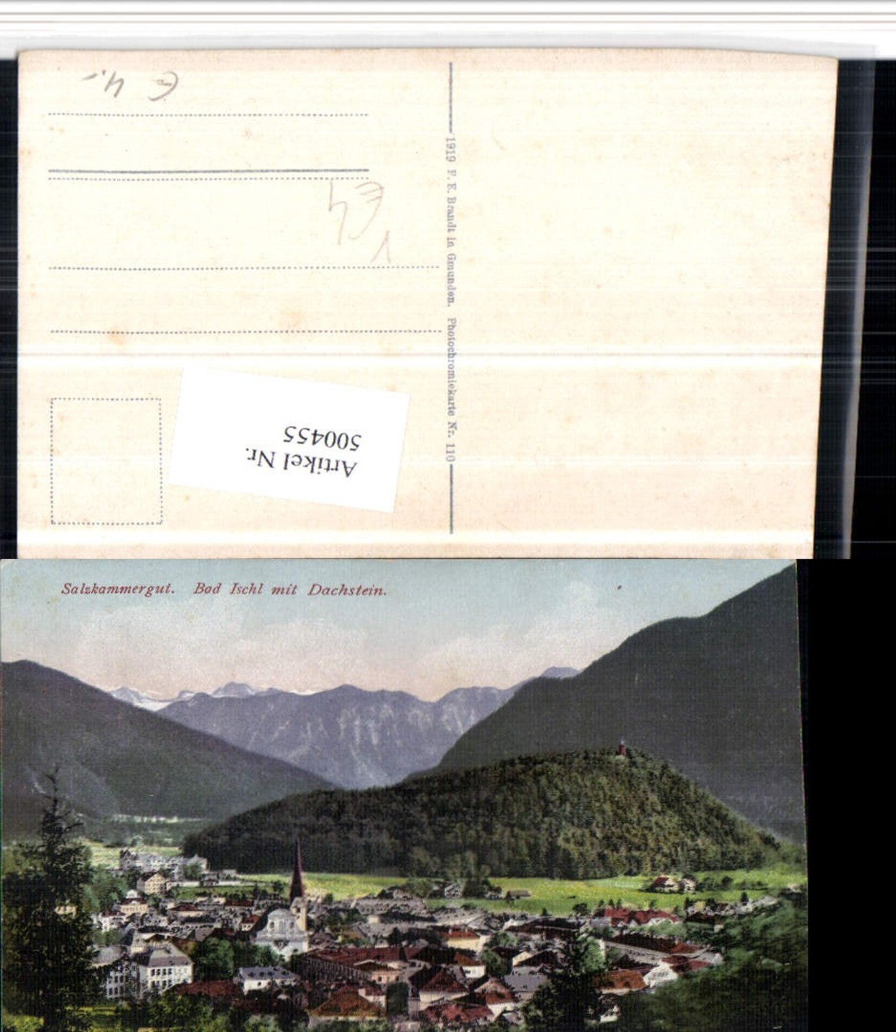 500455,Bad Ischl Totale m. Dachstein Bergkulisse pub F.E. Brandt 110