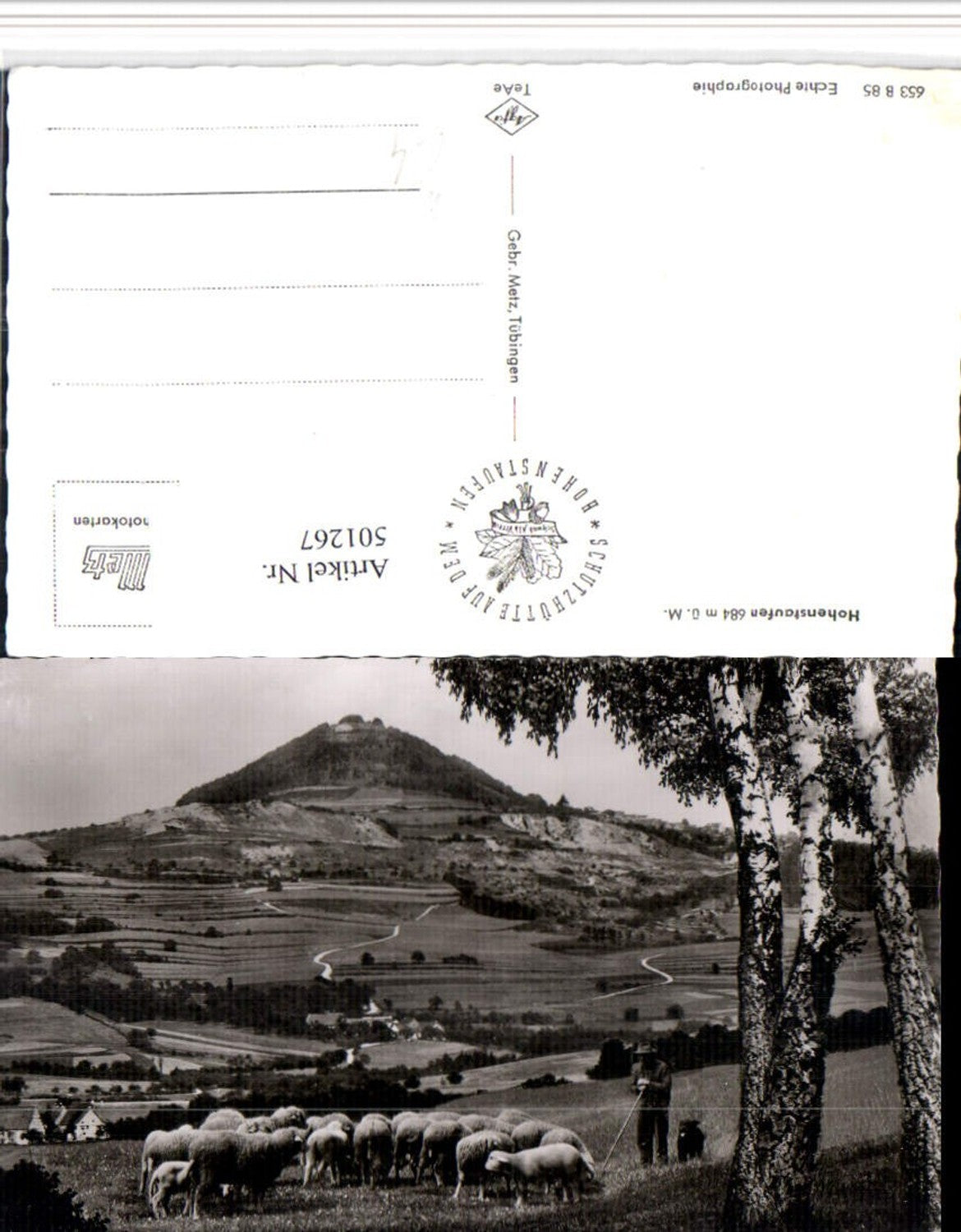 501267,Hohenstaufen b. Schwäbisch Gmünd Hirte Schäfer Schafe
