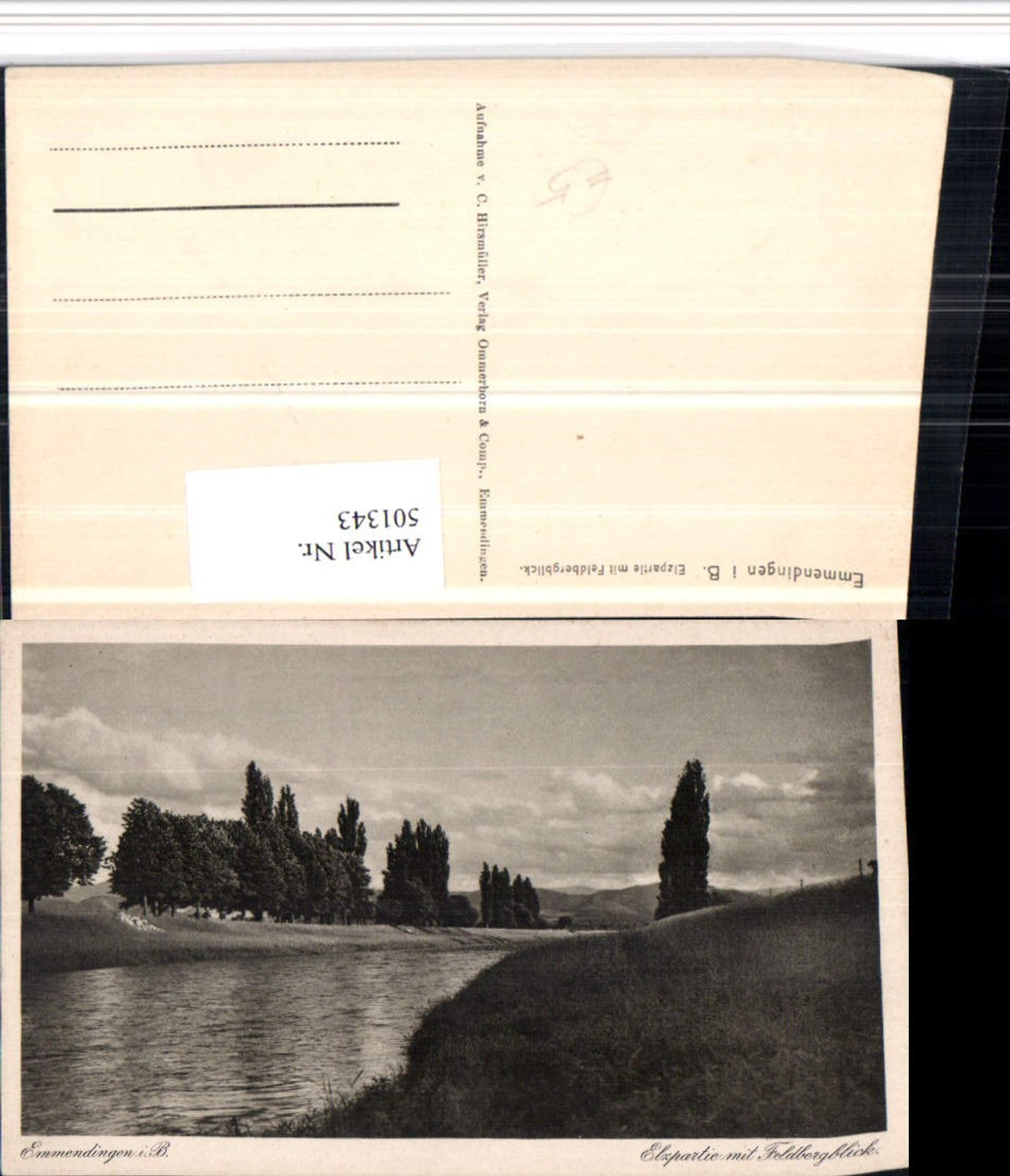 501343,Emmendingen Elzpartie m. Feldbergblick Fluss Landschaft