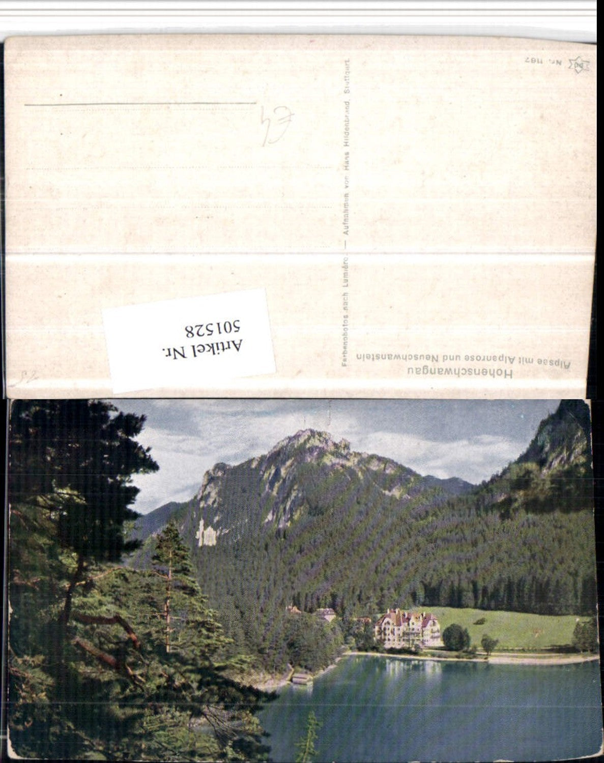 501528,Hohenschwangau Alpsee See m. Neuschwanstein