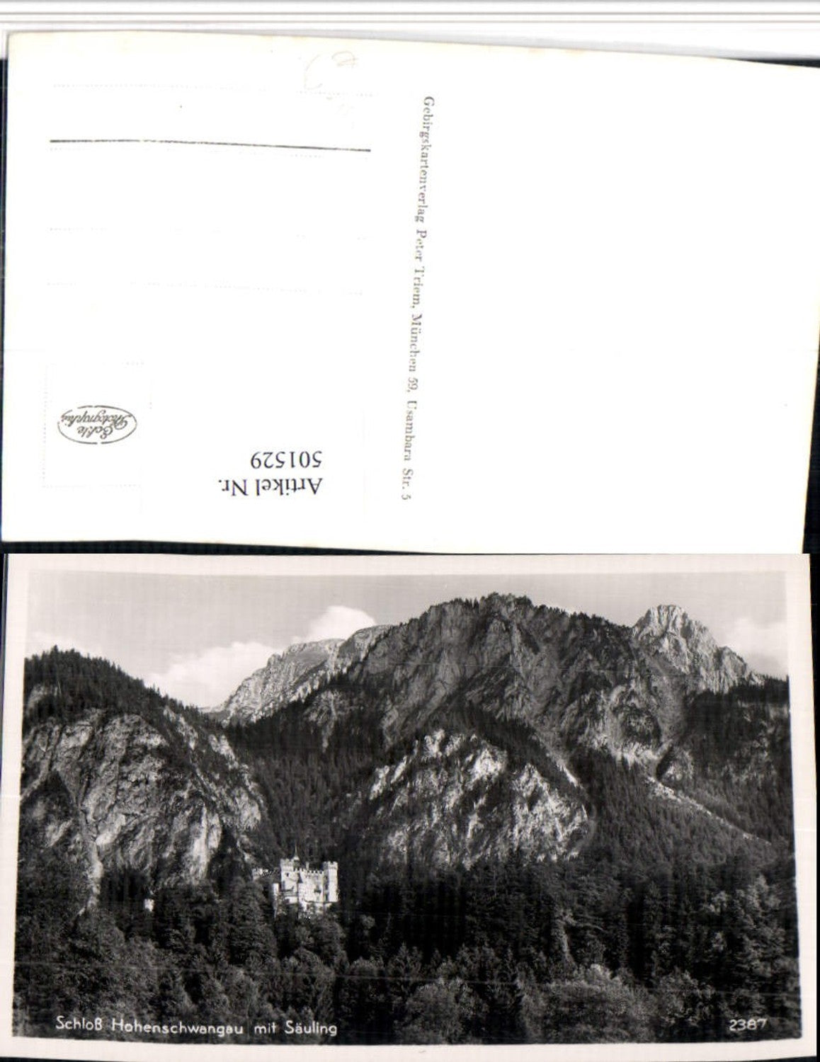 501529,Schloss Hohenschwangau m. Säuling