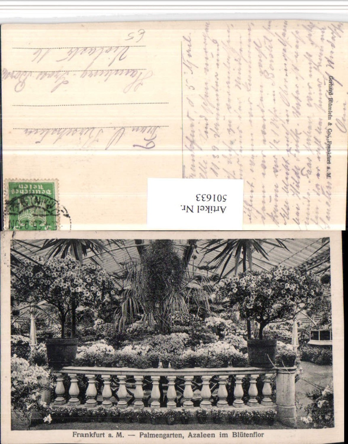 501633,Frankfurt am Main Palmengarten Azaleen im Blütenflor