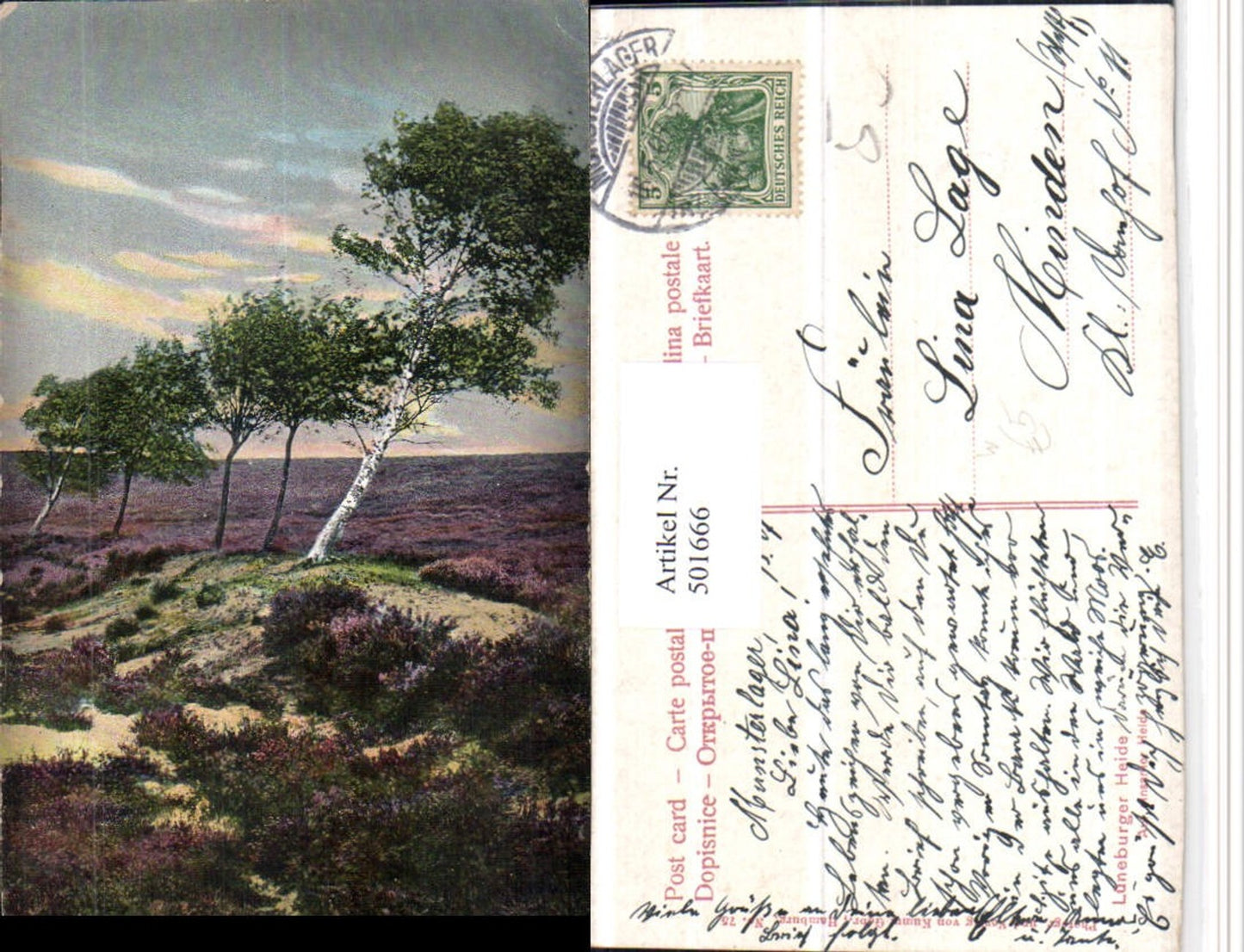 501666,Lüneburger Heide b. Schneverdingen Landschaft Bäume