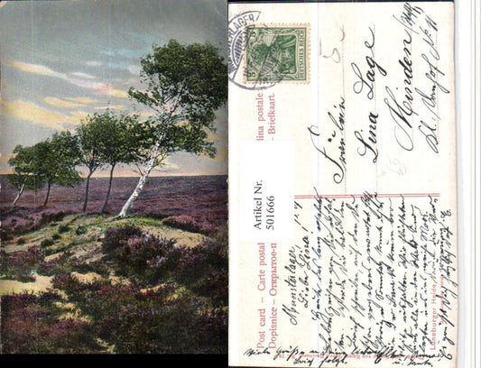 501666,Lüneburger Heide b. Schneverdingen Landschaft Bäume