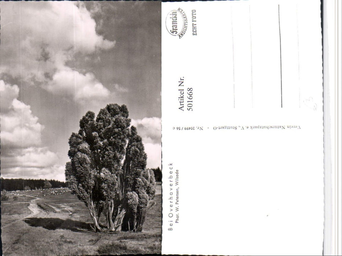 501668,Overhaverbeck b. Bispingen Umgebung Landschaft