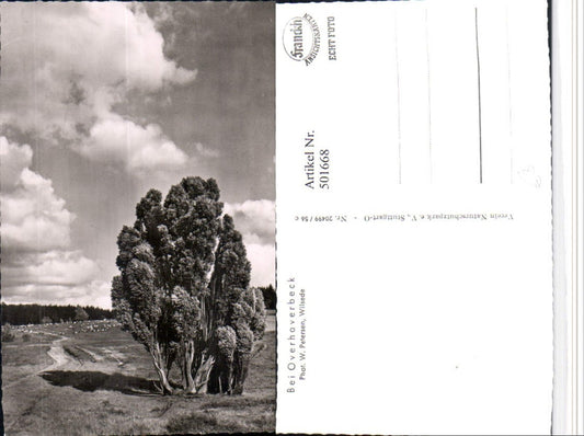 501668,Overhaverbeck b. Bispingen Umgebung Landschaft