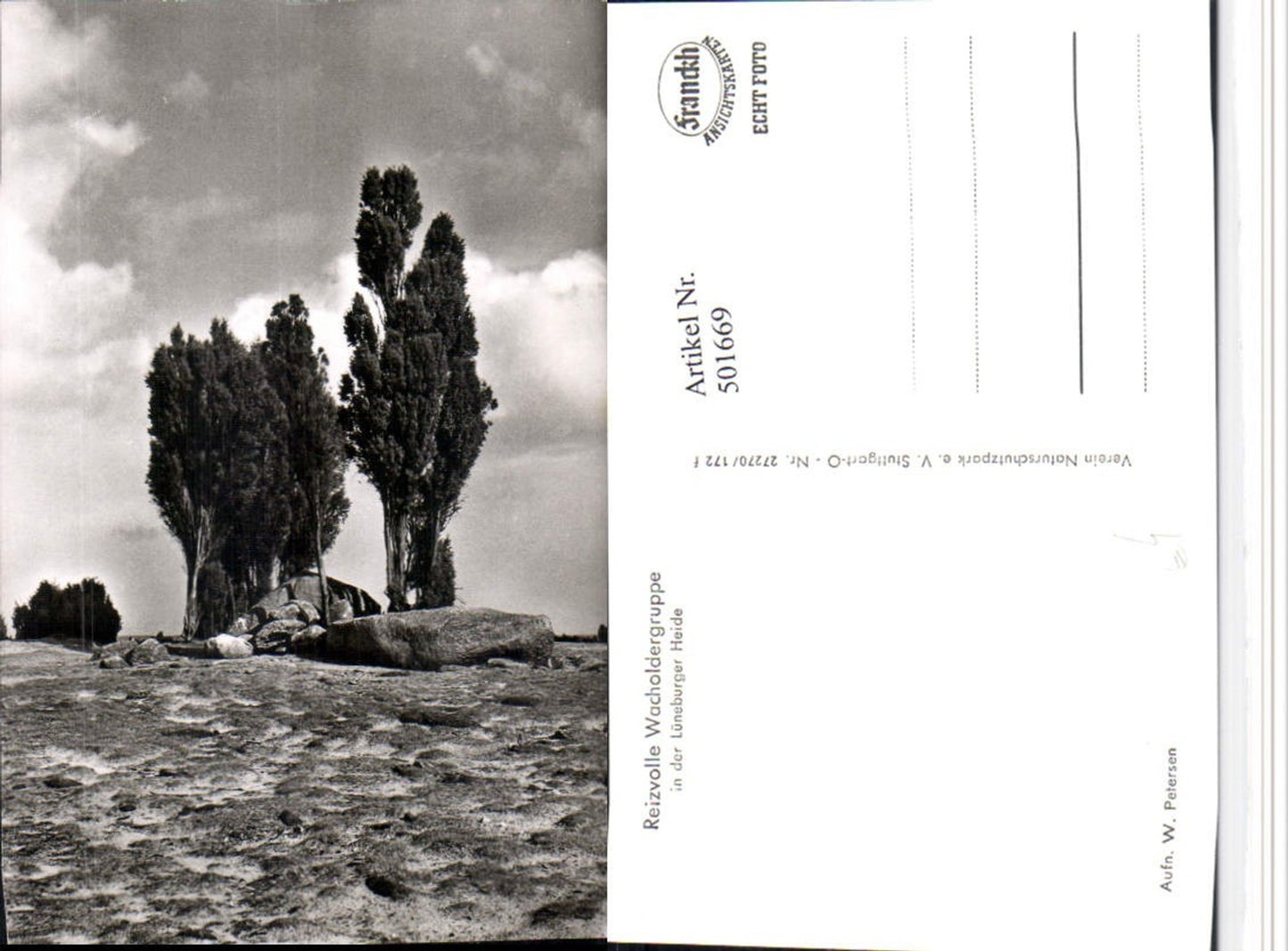 501669,Lüneburger Heide b. Schneverdingen Wacholdergruppe