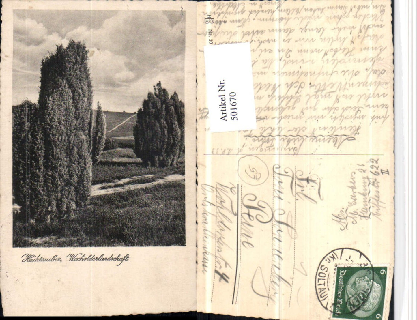 501670,Lüneburger Heide b. Bispingen Wacholderlandschaft