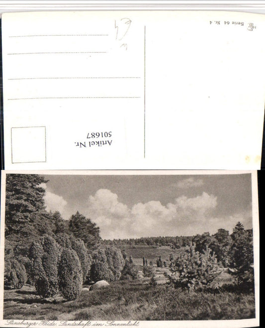 501687,Lüneburger Heide b. Schnevedingen Landschaft im Sonnenlicht