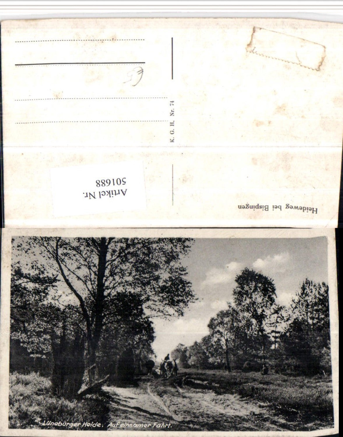 501688,Lüneburger Heide Heideweg b. Bispingen Landschaft