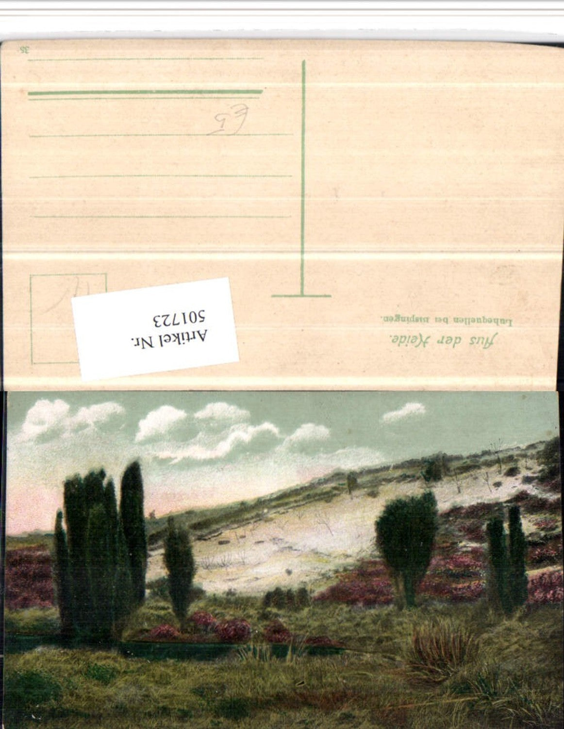 501723,Lüneburger Heide Luhequellen b. Bispingen Landschaft