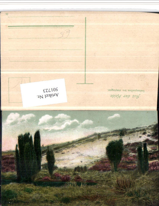 501723,Lüneburger Heide Luhequellen b. Bispingen Landschaft