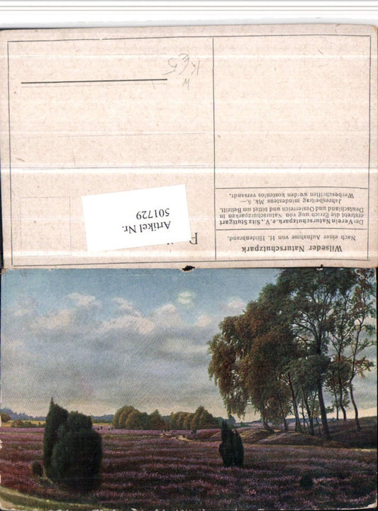 501729,Künstler AK H. Hildenbrand Wilseder Naturschutzpark b. Bispingen