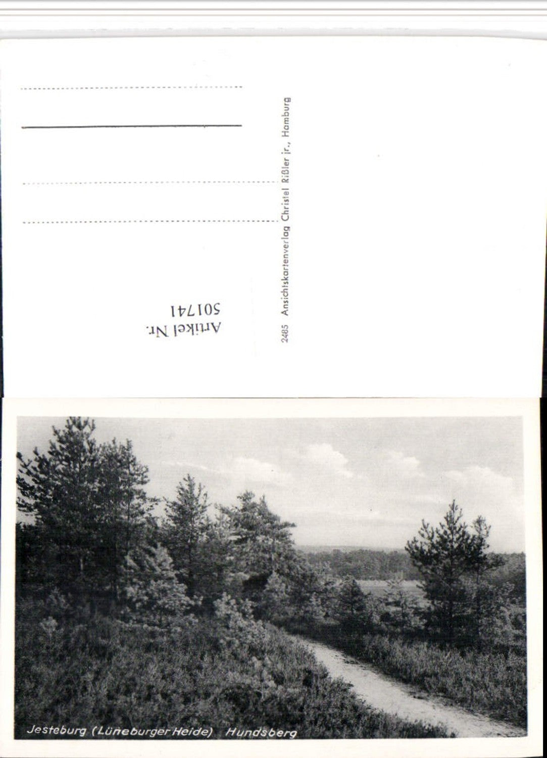 501741,Lüneburger Heide Jesteburg Hundsberg Landschaft